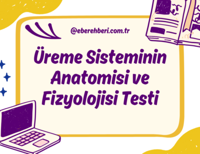 Üreme Sisteminin Anatomisi ve Fizyolojisi Testi