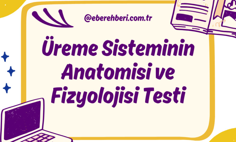Üreme Sisteminin Anatomisi ve Fizyolojisi Testi