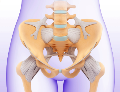 Kemik Pelvis