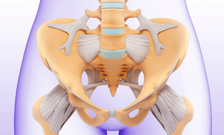 Kemik Pelvis