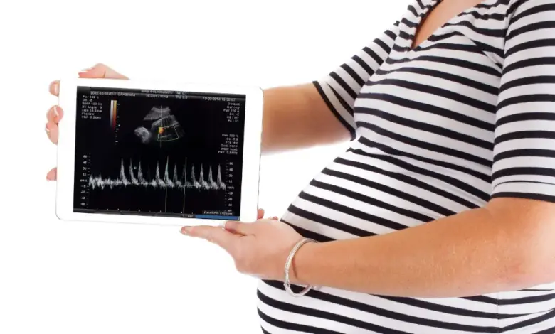 Fetal Dolaşım Ebelik